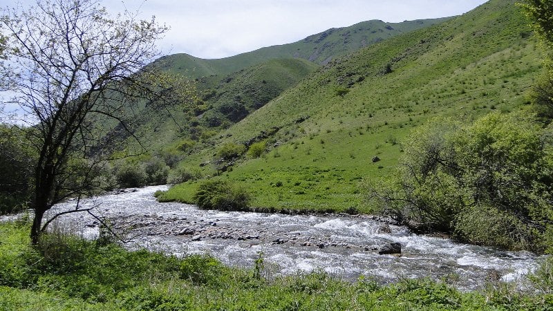 Река Узун-Каргалы и ее окрестности.