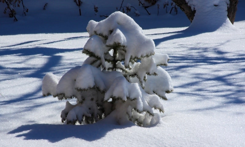 In mountains of Zailiysky Ala-Tau.