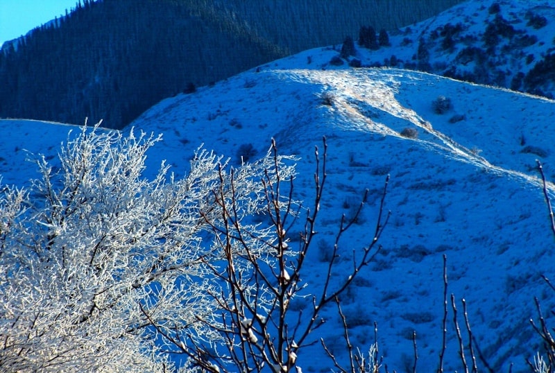 In mountains of Zailiysky Ala-Tau.