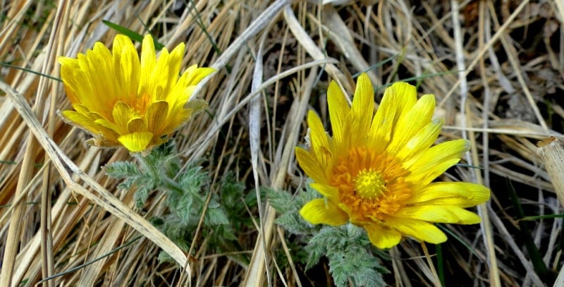 In mountains of Zailiysky Ala-Tau.