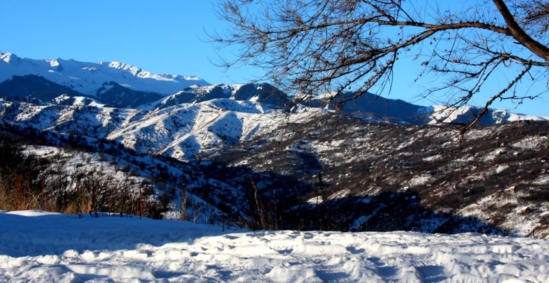 In mountains of Zailiysky Ala-Tau.