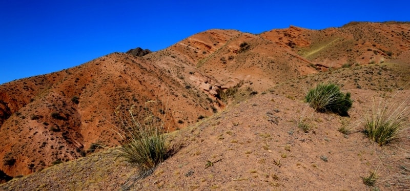 Zhaman Uyi valley.