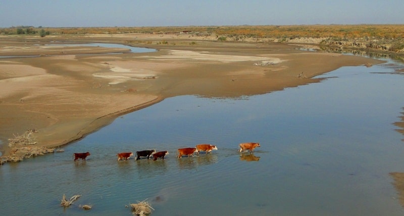 The Zhetysu rivers.