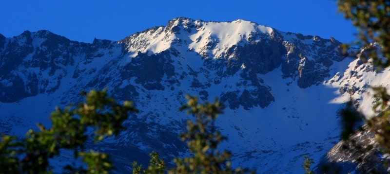 In mountains of the Dzungarsky Ala-Tau.