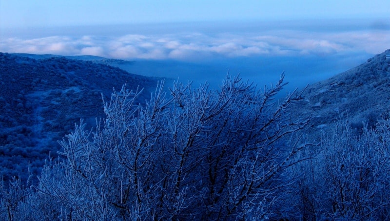 In mountains of the Dzungarsky Ala-Tau.