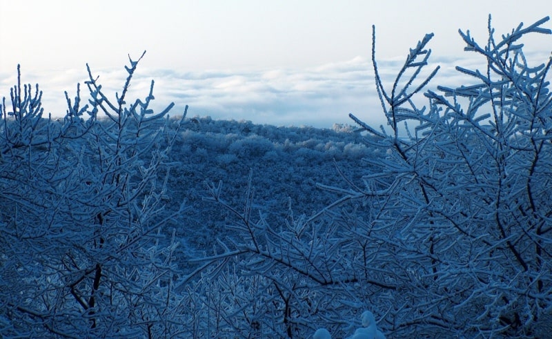 In mountains of the Dzungarsky Ala-Tau.