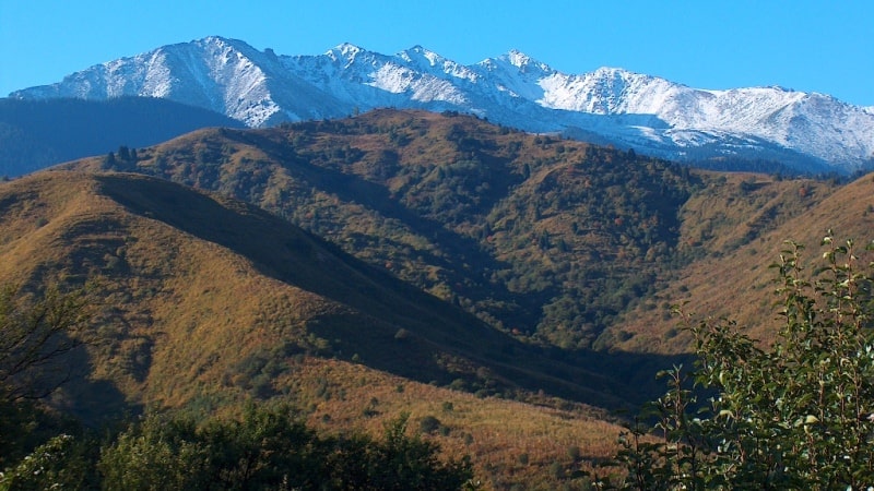 In mountains of the Dzungarsky Ala-Tau.