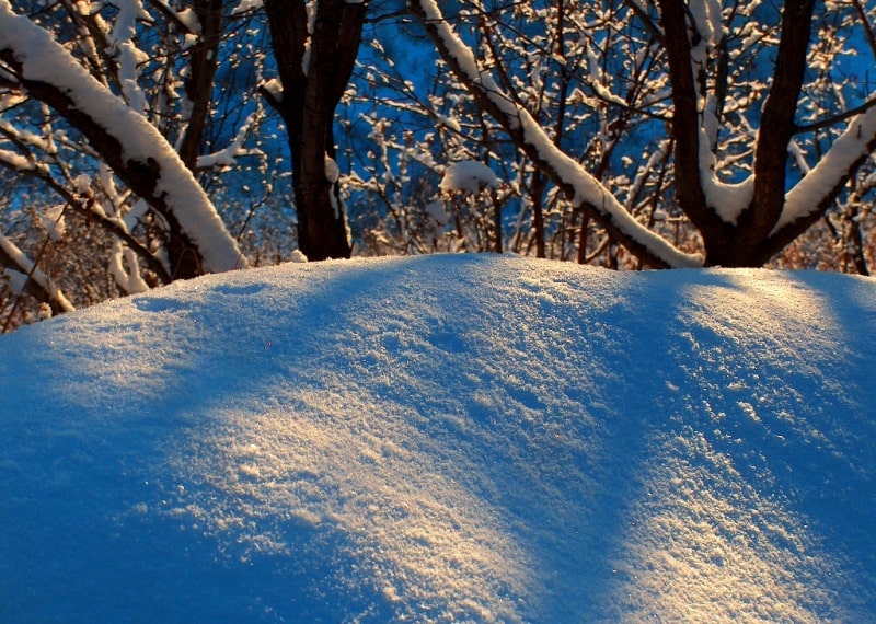 In mountains of the Dzungarsky Ala-Tau.