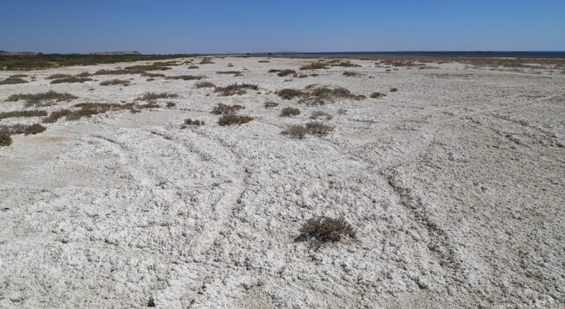 Saline land around Small Aral Sea.