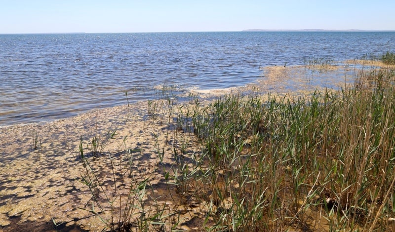 Залив Бутакова. Аральское море.