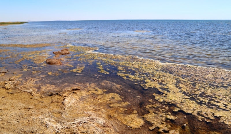 The Small Aral Sea.