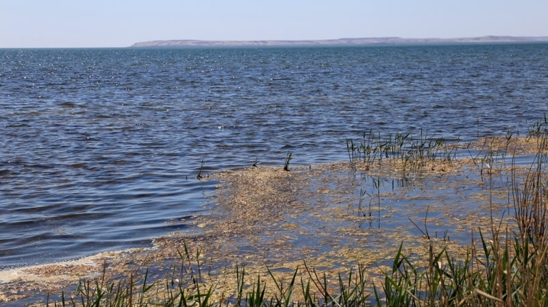 Залив Бутакова. Малое Аральское море.