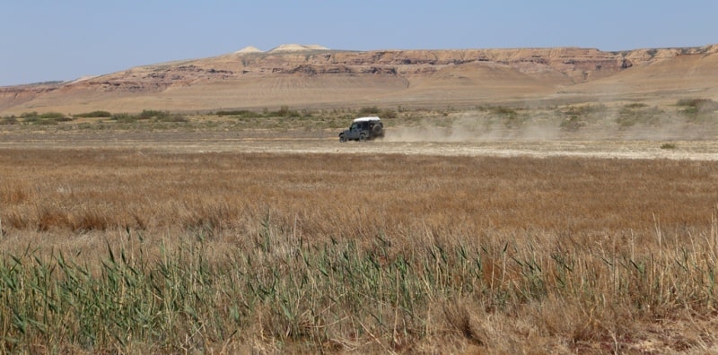 East cliff plateau Ustyurt. 