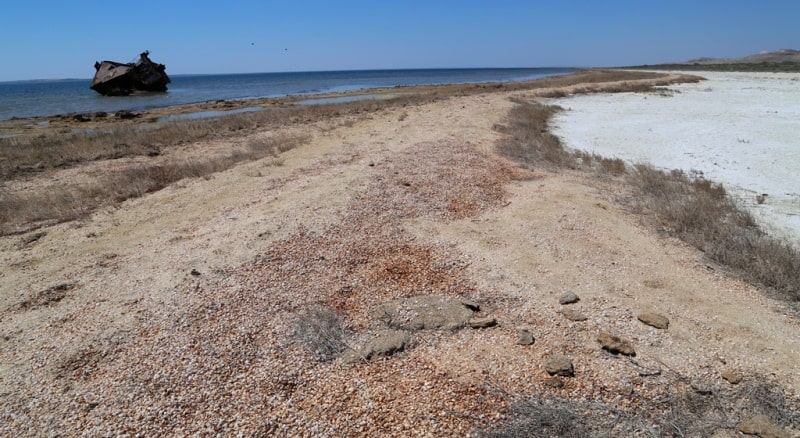 The second ship and environs on Small Aral Sea in the gulf Butakov.