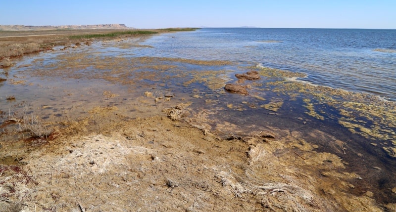 The third ship and environs on Small Aral Sea in the gulf Butakov.