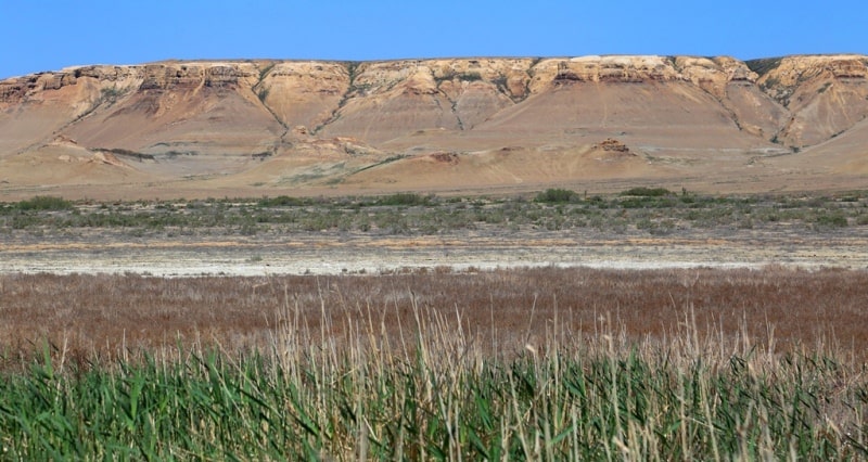 The third ship and environs on Small Aral Sea in the gulf Butakov.