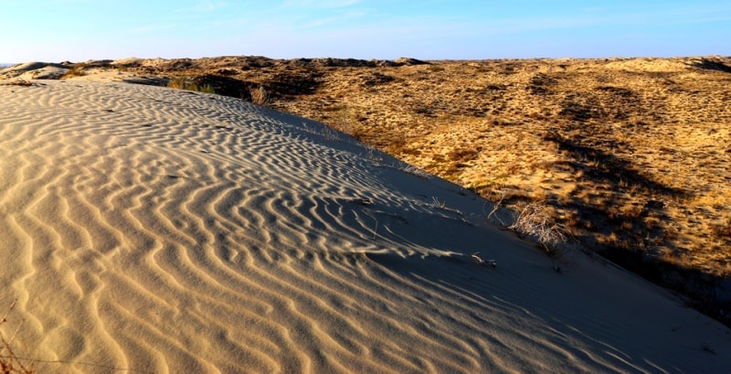 Кызылкум пустыня в Казахстане.