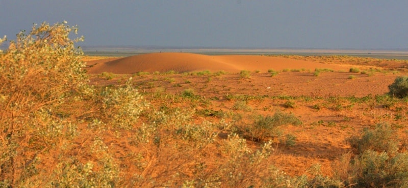 Kyzyl Kum the desert in Kazakhstan.