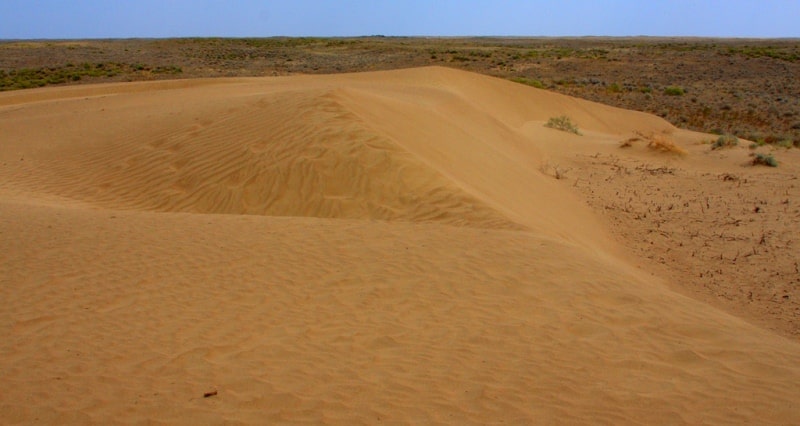 Kyzyl Kum the desert in Kazakhstan.