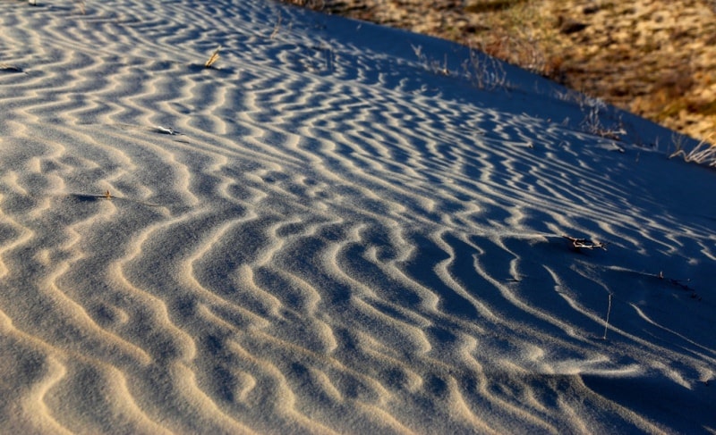 Kyzyl Kum the desert in Kazakhstan.