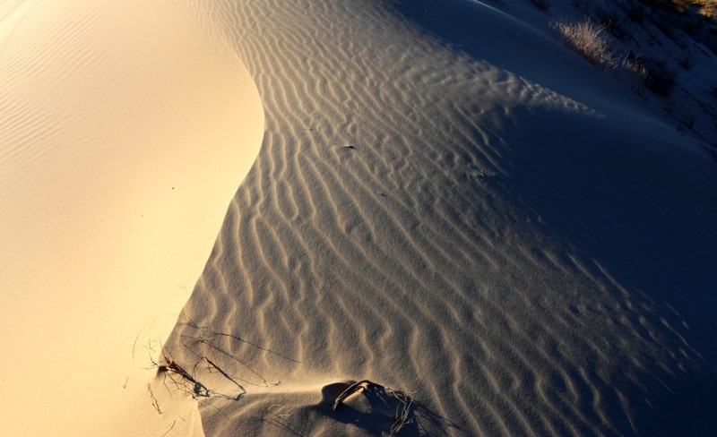 Kyzyl Kum the desert in Kazakhstan.