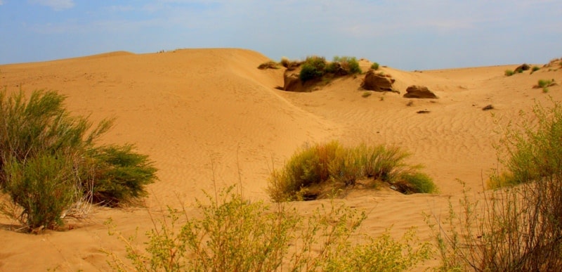 Kyzyl Kum the desert in Kazakhstan.