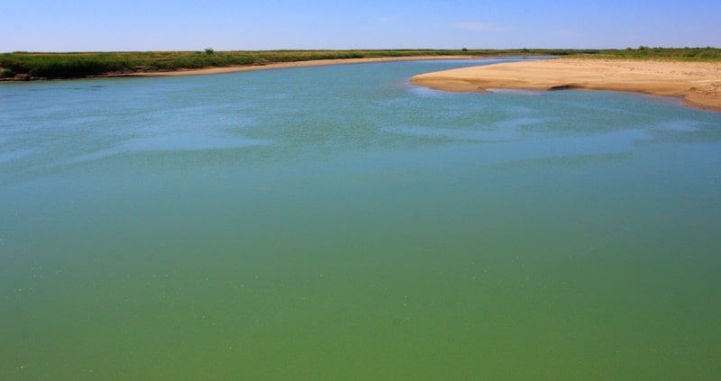 Syr-Darya river.