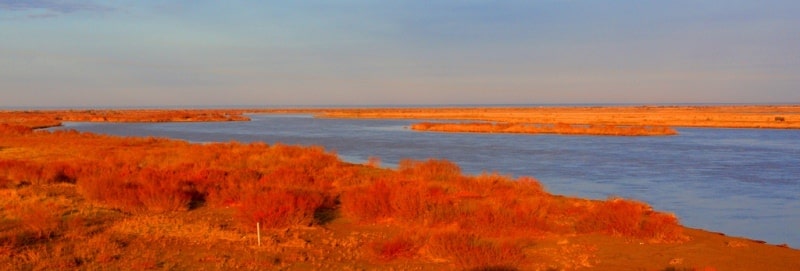 Syr-Darya river.