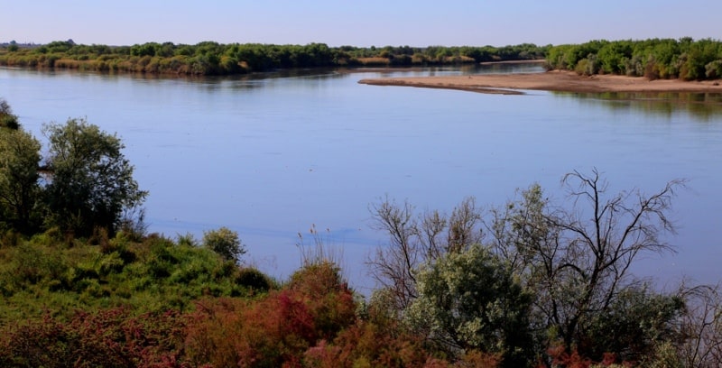 Syr-Darya river.