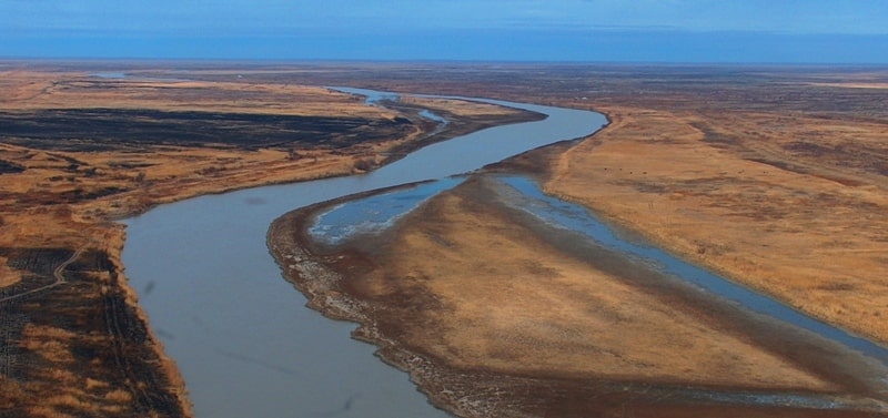 Дельта реки Сырдарьи и ее окрестности. Птицы в дельте Сырдарьи.