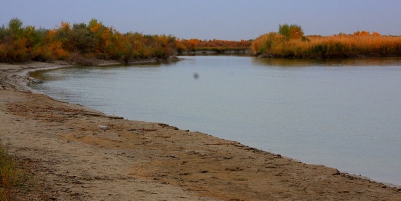  Река Сырдарья и ее окрестности.