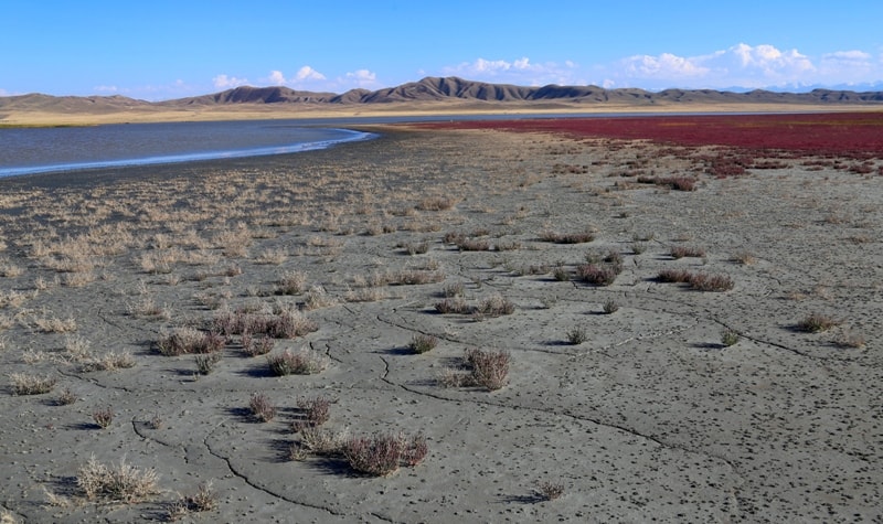 The lake Tuzkol in Kazkakhstan.