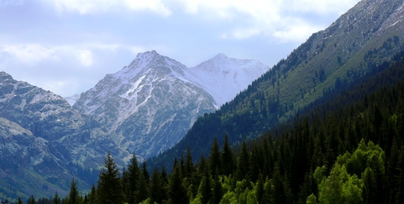Ущелье Кора в горах Джунгарского (Жетысу) Алатау.