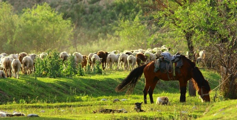 Natural sights of the mountains Zhetyzhol.