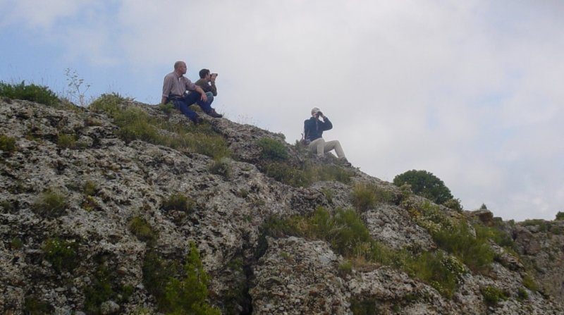 Vicinities of canyon Aksu in reserve Aksu-Zhabagly.