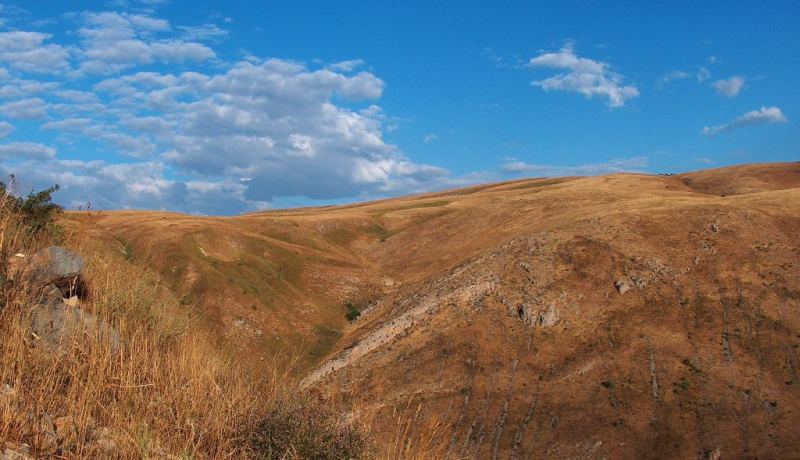 Vicinities of reserve Aksu-Zhabagly.