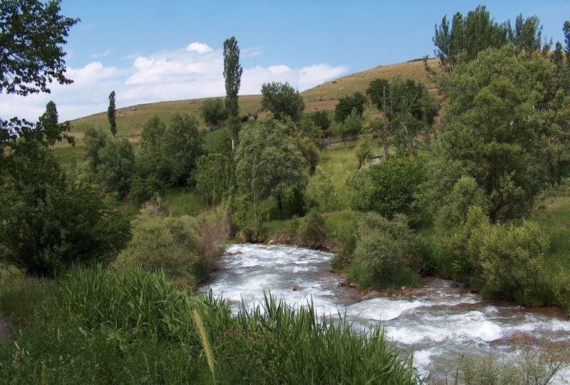 Vicinities of reserve Aksu-Zhabagly.