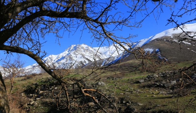 Vicinities of reserve Aksu-Zhabagly. Mountain ridge Talass Alatau.