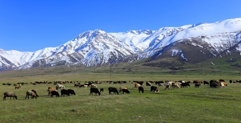 Vicinities of reserve Aksu-Zhabagly. Mountain ridge Talass Alatau.