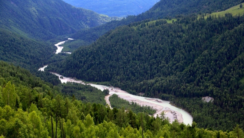 Река Белая Берель с высоты автомобильной дороги Урыль – Рахмановские ключи.