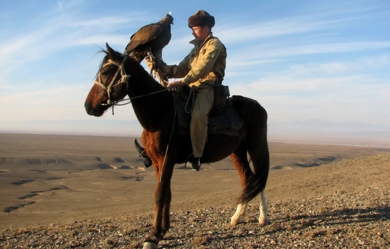  Показательная охота с беркутом в Казахстане.