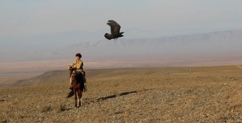 Показательная охота с беркутом в Казахстане.
