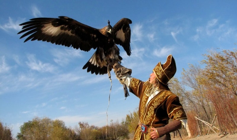 Показательная охота с беркутом в Казахстане.