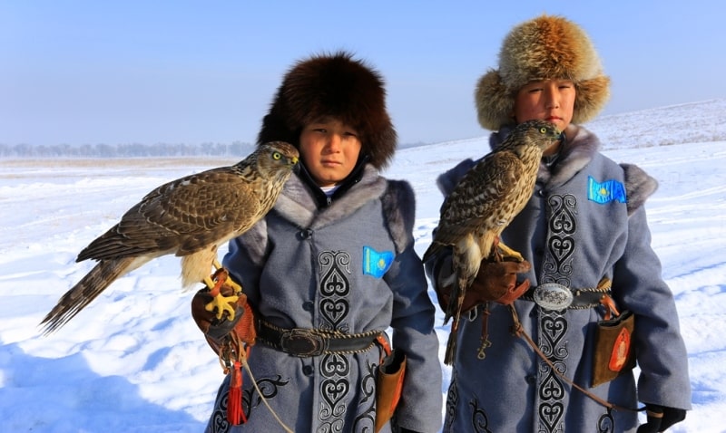 Demonstration hunting with falcon in Kazakhstan.