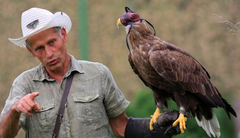 Шоу с хищными птицами в питомнике Сункар.