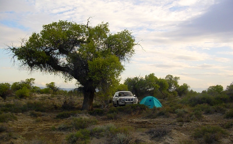 The Altyn-Emel national park.