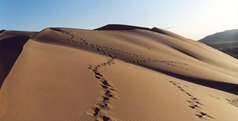 Singing dune. A three-copecks Altyn-Emel national park.