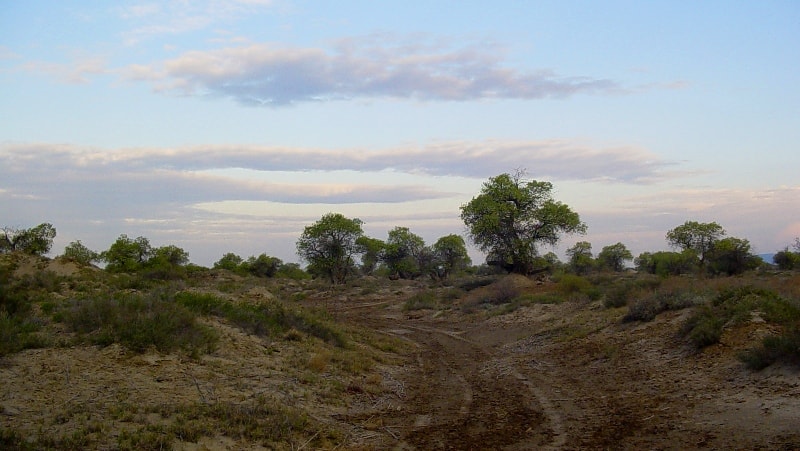 The Altyn-Emel national park.