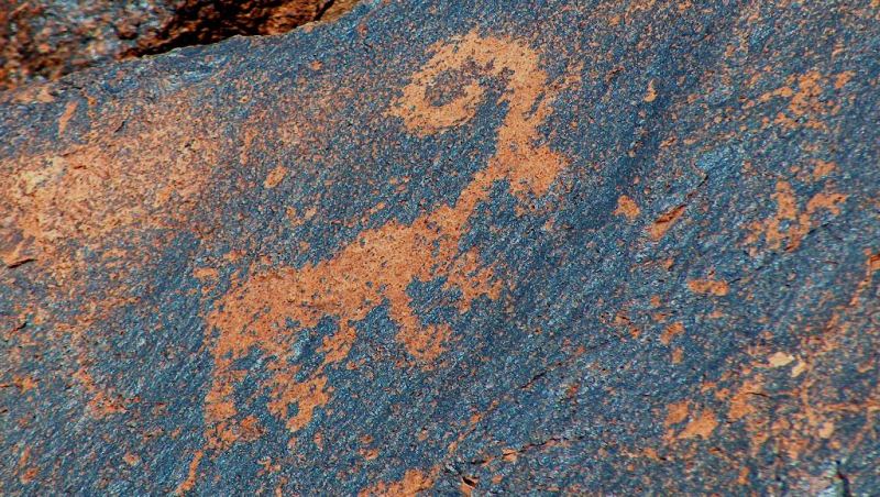 Petroglyphs in gorge Terekty. Altyn-Emel national park