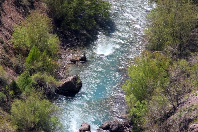 The river Aksu in Aksu-Zhabagly reserve. 